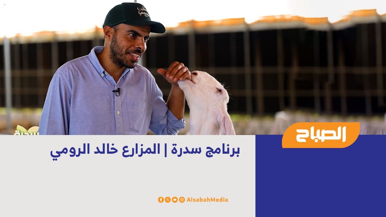 سدرة | المزارع خالد الرومي