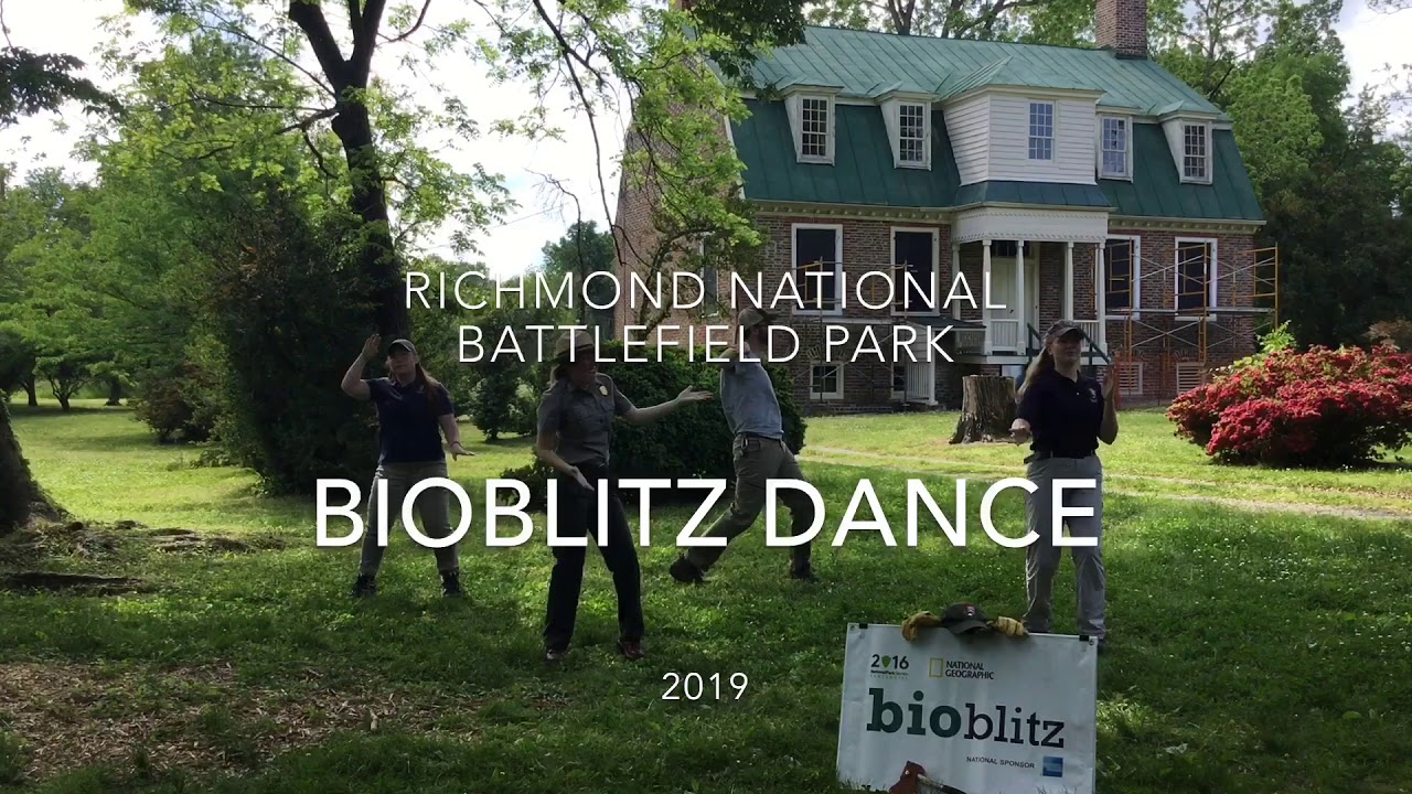 BioBlitz promotion dance