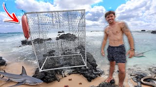 I built the WORLDS LARGEST Saltwater Fish Trap on an Island!?!