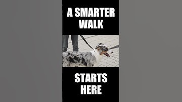 A Kickstarter Project We Love: Fetchly