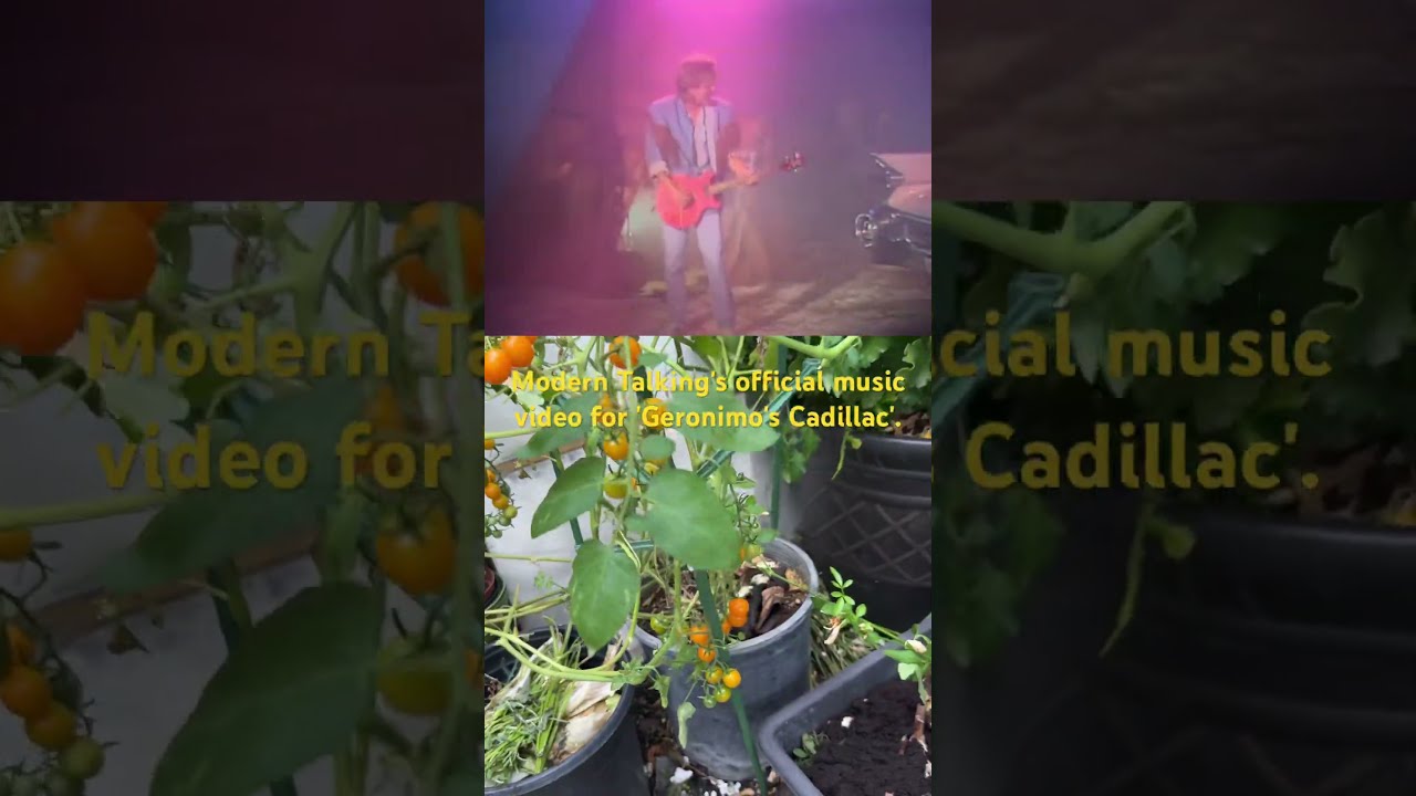 洋楽 MODERN Modern Talking - Geronimo's Cadillac '98 (Official Video