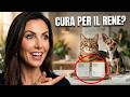 Protocollo Heel (SUC) Guida al Supporto Renale del Gatto & Cane