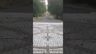 Ömür Biter Yol Bitmez Dedikleri Yol Resimi