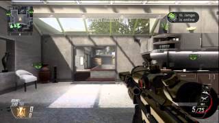 Check Plutoid / Triple Collat Raid
