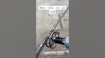 Cần săn hàng #cauca #fishing #câucá #fishingvideo
