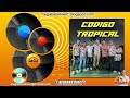 SIN ENAMORARSE CODIGO TROPICAL