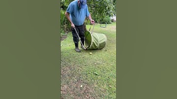 clearing more fallen apples #timelapse  #gardening  #shorts  #oddlysatisfying