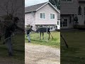 Man Helps Spooky Moose Let Loose!
