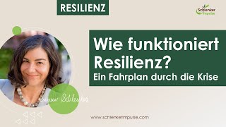 Wie Funktioniert Resilienz? Ein Fahrplan Durch Die Krise