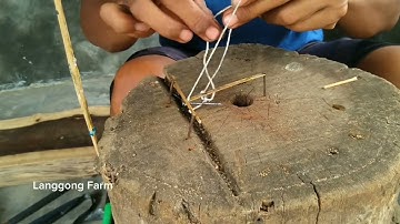 Minute Experiment Bird Traps Make From Used Nails - Technique Creative Bird Trap