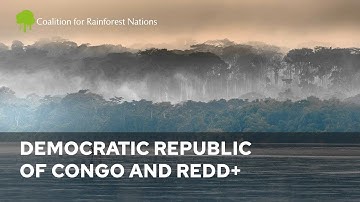 The Importance Of REDD+ to Democratic Republic of Congo