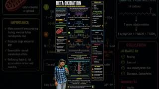 beta oxidation...... #hyperlipidemia #automobile #greenscreen #remnantcholesterol