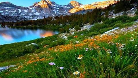 القارئ إبراهيم الجبرين || سورة الانشقاق كاملة || Surah Al-Inshiqaq  Ibrahim Al-Jibrin