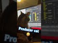 ❤️ cat video 😺R.GEMETA🤣 #short #electronicmusic #cat #catshorts #catvideos