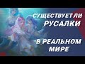 Существуют ли русалки в реальной жизни