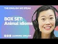 BOX SET: English vocabulary mega-class! 😍 Learn 7 English idioms in 15 minutes!