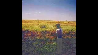 Whirr - Ease in D Standard sounds nostalgically beautiful...