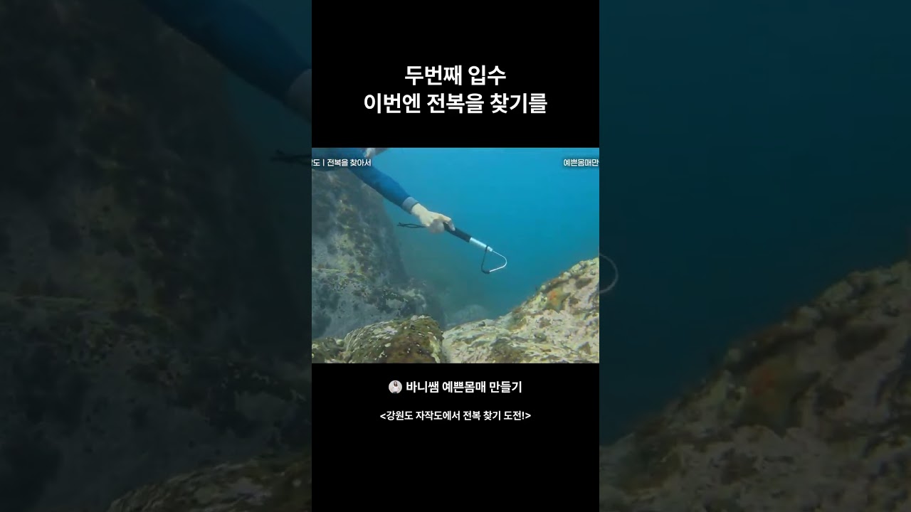 두번째 입수 이번엔 전복을 찾기를