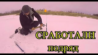 Жерлицы СРАБАТЫВАЮТ все подряд! Поймали БОЛЬШУЮ щуку!!!