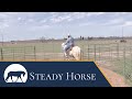 How to Establish a "Go Forward" cue with your Horse