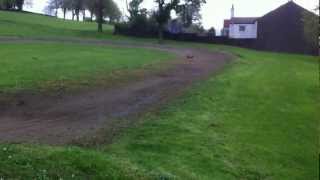 Losi 8Ight 2.0 Skewen Park