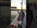 Clear Water Pier Fishing Spring Break🏖️#clearwater #beach #fishingpier #springbreak2024 #florida