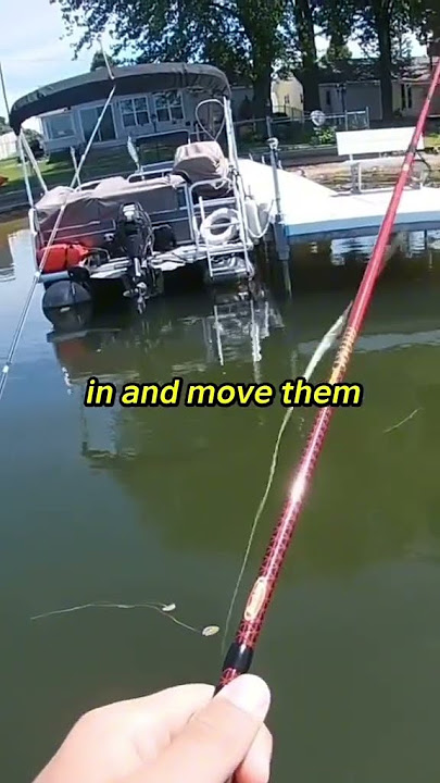 Fat woman jumps into lake stopping 2 guys fishing
