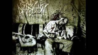 Top 8 Favorite Slam Death Metal Bands