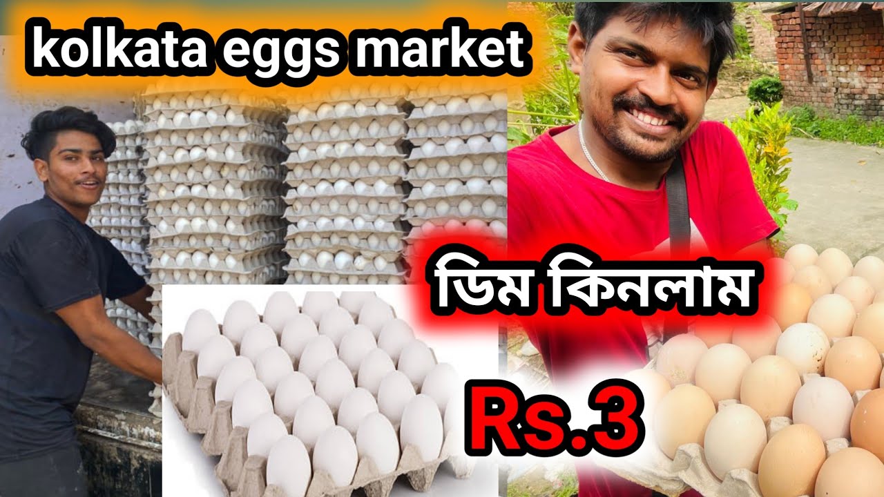  Kolkata wholesale eggs market || কল কাতার সবচেয়ে বড়ো ডিমের পাইকারি বাজার #eggmarket 