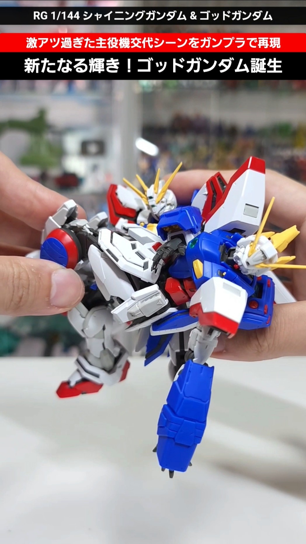 RG1/144シャイニングガンダム、RG1/144ゴッドガンダム2体セット ガンプラ『RG 1/144 シャイニングガンダム』が来年4月に発売予定