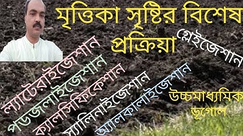 Specific processes of soil formation. Specific processes of soil formation.
