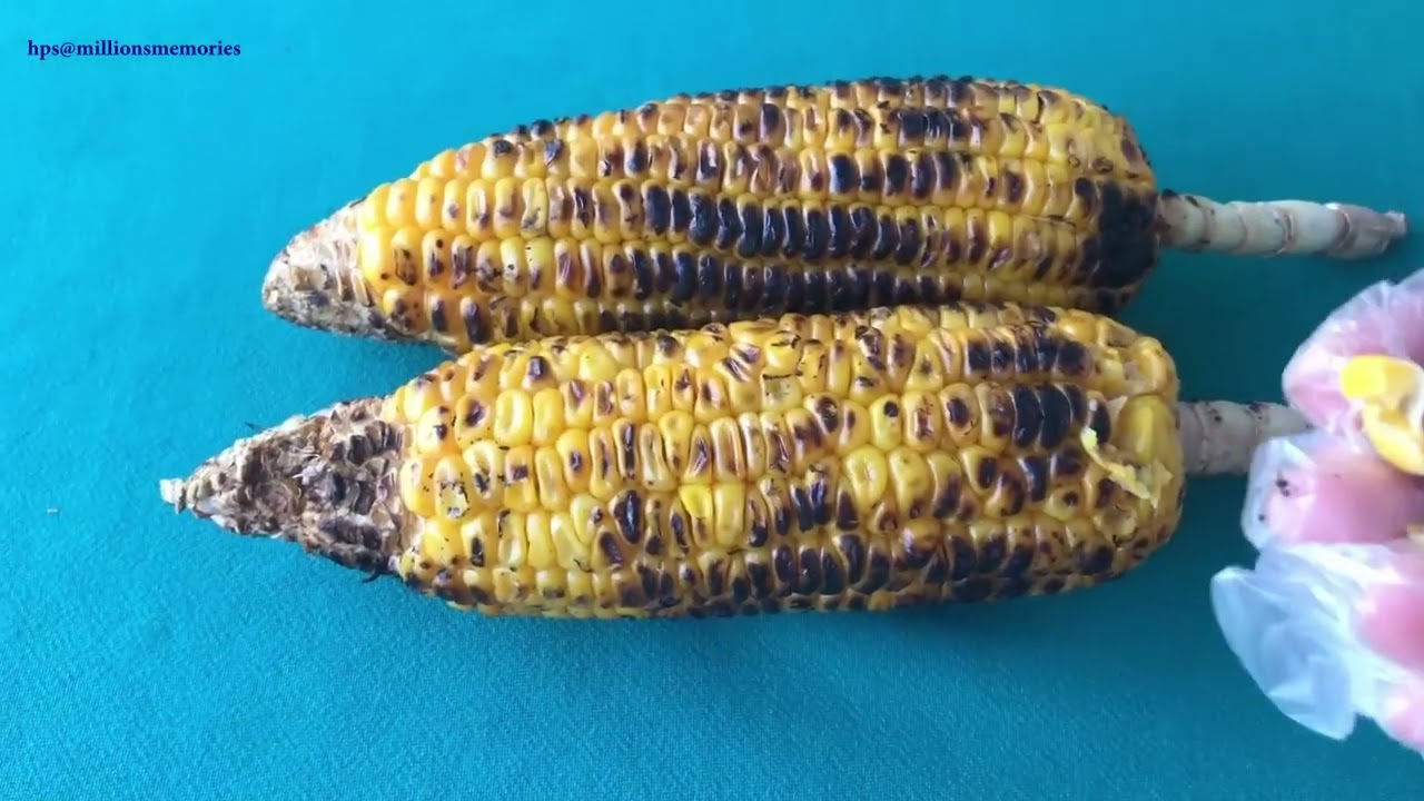 Charcoal Grilled Corn On The Cob 