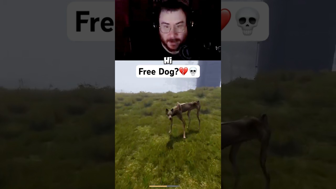 This “Free Dog” Was a Whole Wolf Pack 😭