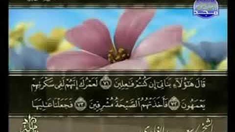 سورة الحجر من الآية 71 الى الآية 99