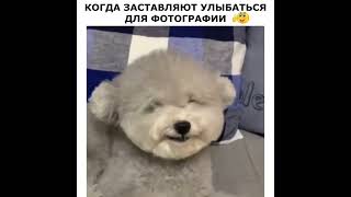 Когда Заставляют Улыбнуться)