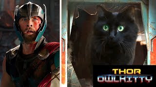 Thor Meets My Cat