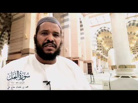 سورة النمل ٥٨ ٦٦ أبو صفية محمد بن عثمان حاج علي 