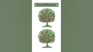 Spot 3 Differences #2128