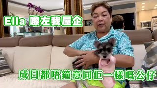 Ella嚟左我屋企 成日都唔鐘意個隻同佢一樣樣嘅公仔