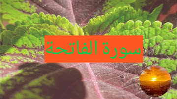 تلاوة هادئة بصوت الشيخ ماهر لمعيقلي سورة الفاتحة