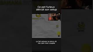 agressif