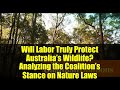 Will Labor Truly Protect Australia’s Wildlife? Analyzing the Coalition’s Stance on Nature Laws