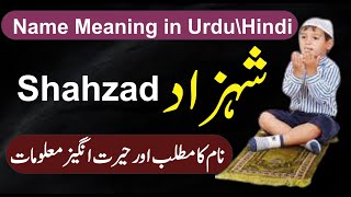 Shehzad Name Meaning in Urdu Name Info | Shahzad Naam Ka Matlab NameInfo | شہزاد نام کا کیا مطلب ہے؟