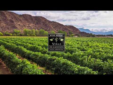 Cafayate Wine Resort - Viñas de Cafayate Hotel