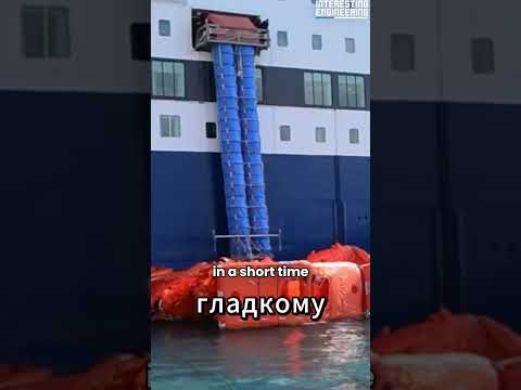 Морская эвакуационная система: Спасение жизней с помощью надувных плотов и скатов