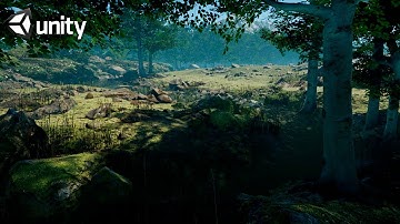 Beautiful Stream Scene | Speed Level/Scene Art | Unity HDRP Environment