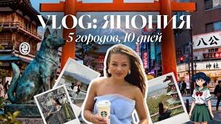 картинка: VLOG | впервые в Японии, честное мнение о местах: Токио, Фудзи, Киото, Нара, Осака