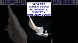 Хорошая песня 🥺 печальная пускай эта песня наберет 10000К. пожалуйста. я еще выложу новые клипы