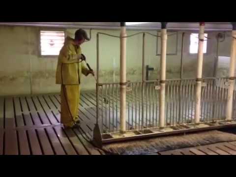 Pressure washing hog barns - YouTube