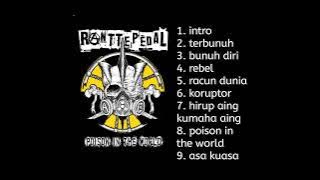 Ranttepedal - poison in the world [2012] punk